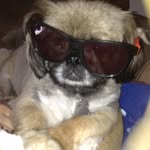 @eli_stratton45789 - Instagram
