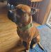 Eli Strong - Facebook