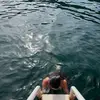 elise - @elise.stroup - TikTok