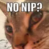 Eli Stumbo - @memesandstuffs02496 - TikTok
