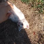 Elizabeth Stump - Facebook