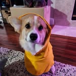 Sara Elizabeth Stumpington III Duchess of Pembroke - @sara_elizabeth_stumpington - Instagram