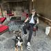 Eli Sullivan - Facebook