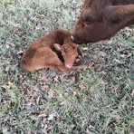 Eli Sumner - Facebook