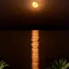EliSunshine - @eli_sushine - TikTok