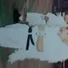Eli Taboada - @elitaboada0 - TikTok