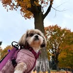Elizabeth B Tedrow - @elizabethbtedrow - Instagram
