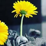 Grazy elias - @grazyeliasteichmann - Instagram