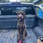 Eli Theodore Jones - @elithedoodle2022 - Instagram