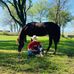 Eli Todd - Facebook