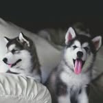 Ели Тодорова - @elitodorova1234 - Instagram