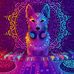 Eli Tor - Facebook