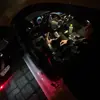 eli.tor - @eli.tor - TikTok