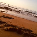 Eli Townsend - @lycan_prime2414 - Instagram