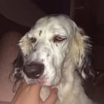 Eli Townsend - @elithabaer - Instagram