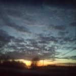 eli Troutman - @eli_troutman.7 - Instagram