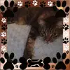 Elizabeth Weinberger - @elizabethweinberg - TikTok
