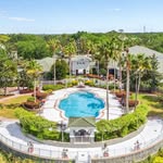 The Eli Winter Springs - @eliwintersprings - Instagram