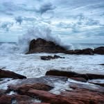 Eli Wood - @eliwood4178 - Instagram