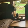 Eli wood - @eli..wood - TikTok