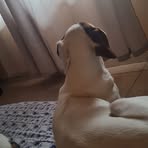Elia Alba - Facebook