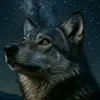 🏴‍☠️ᏞᏫᏁᎬ ᏔᏫᏞᎰ🐺 - @amine.marselia - TikTok