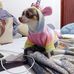 Elia Aparicio - Facebook