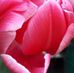 Elia Aparicio - Facebook