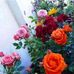 Elia Castillo Armas - Facebook