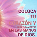 Dora Elia Badillo - @doraeliabadillo - Instagram