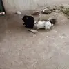 Elia Yetzeny Chávez Badillo - @userlvuxpmomfb - TikTok