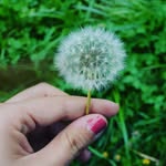 elia barragan herrera - @elia_photographs - Instagram
