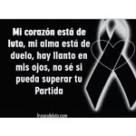 Elia Barragan Paz - @eliabarraganpaz - Instagram