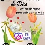 Elia Barraza De Rdz - @eliabarrazade - Instagram