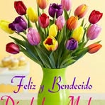 Elia Bartolo - Facebook