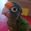 eliasfbartolo - @eliasfbartolo - TikTok