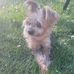 Elia Beans - Facebook
