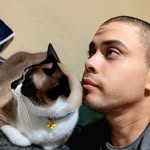 Eliabe Gomes - @eliabe_animais_caruaru - Instagram