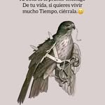 Elia Bedolla Arreola - @misifuarreola3175 - Instagram