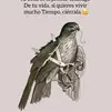 Elia Bedolla Arreola - @elia.bedolla.arre - TikTok