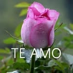 Elia Bravo - @elia.bravo.1276 - Instagram