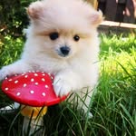 Эля - @_elia_brown_ - Instagram