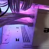 Elia Brown - @elia.brown78 - TikTok