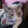 eli - @eliabustos7 - TikTok