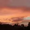 Elia Bustos530 - @eliabustos530 - TikTok