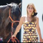 eliacalderon - @eliacalderonflamenco - Instagram
