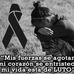 Elia Camacho - Facebook