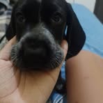Elia Campos - Facebook