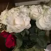 Elia Campos - @elia.campos79 - TikTok