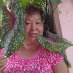 Elia Carrera - Facebook